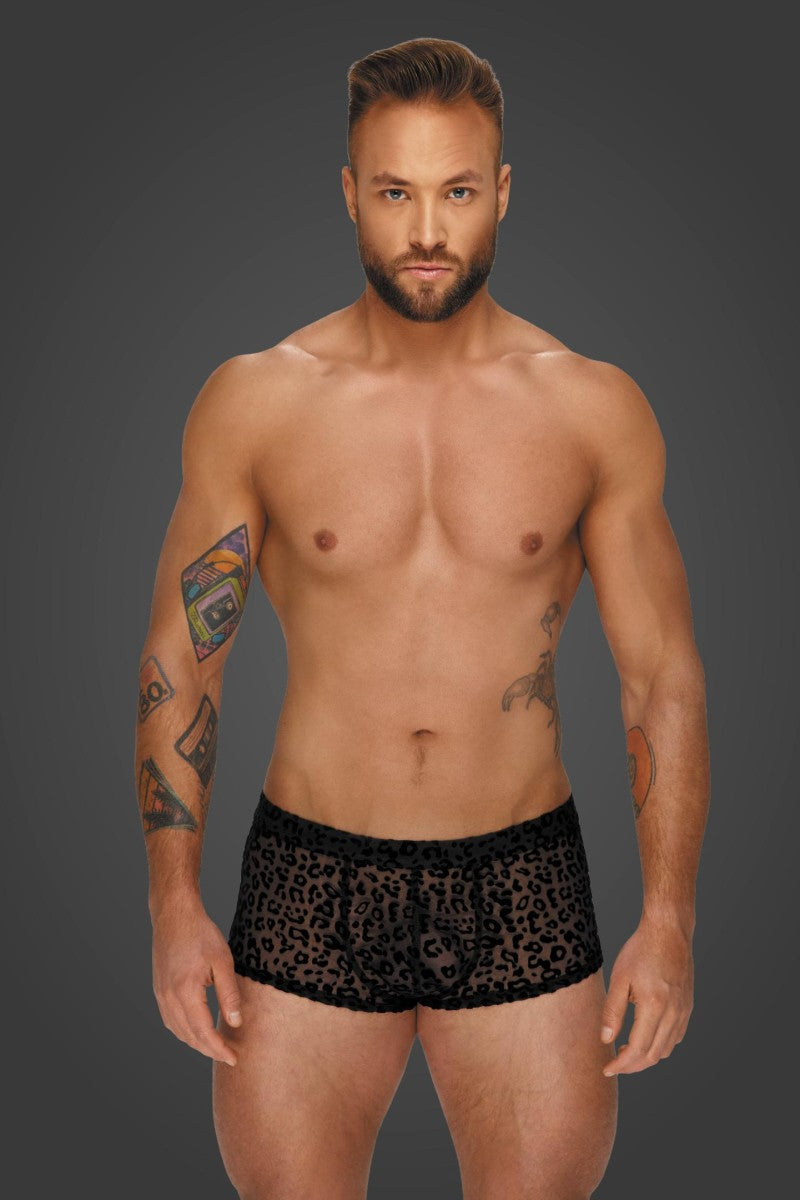 Leopard Flock Shorts H072 von Noir Handmade Aplpha Collection Leopard Flock Shorts H072 von Noir Handmade Aplpha Collection